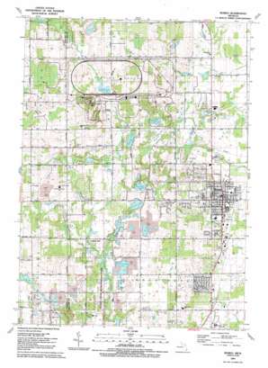 Romeo USGS topographic map 42083g1