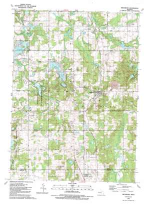 Metamora USGS topographic map 42083h3