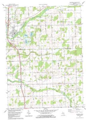 Tekonsha USGS topographic map 42084a8