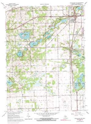 Schoolcraft Nw topo map