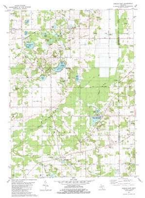 Gobles East topo map