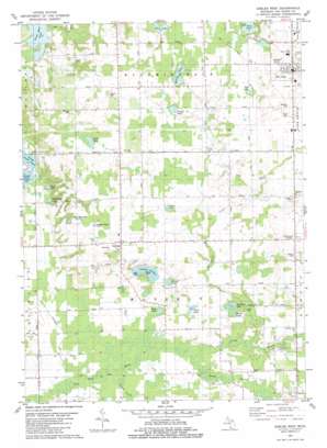 Gobles West USGS topographic map 42085c8