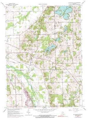 Kalamazoo NE USGS topographic map 42085d5
