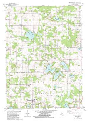Bloomingdale USGS topographic map 42085d8