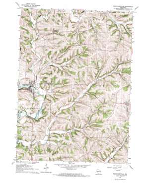 Blanchardville USGS topographic map 42089g7