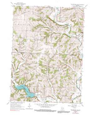 Yellowstone Lake USGS topographic map 42089g8