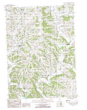 Pleasant Valley USGS topographic map 42090b1