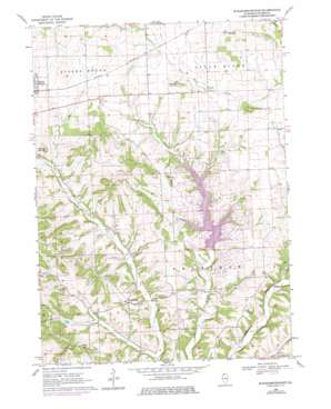 Scales Mound East USGS topographic map 42090d2