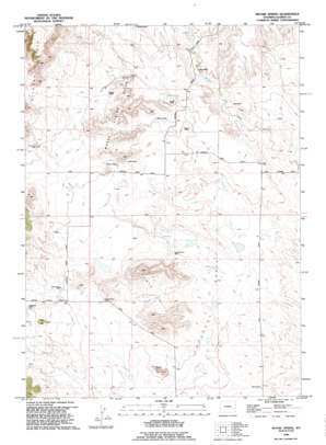Moore Spring USGS topographic map 42104d5