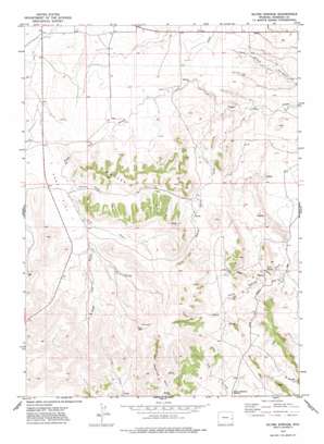 Silver Springs USGS topographic map 42104f5