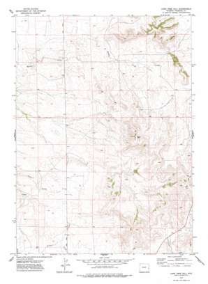 Lone Tree Hill USGS topographic map 42104f6