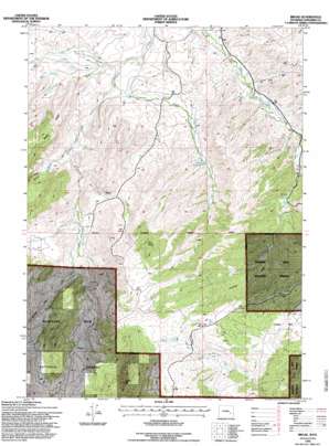 Braae USGS topographic map 42105d4