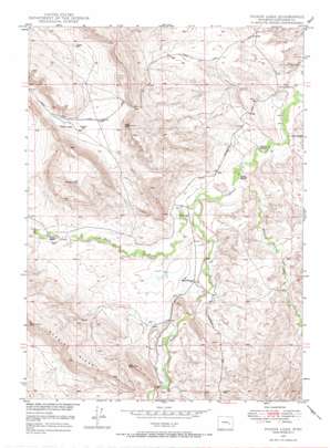 Poison Lake USGS topographic map 42105e4