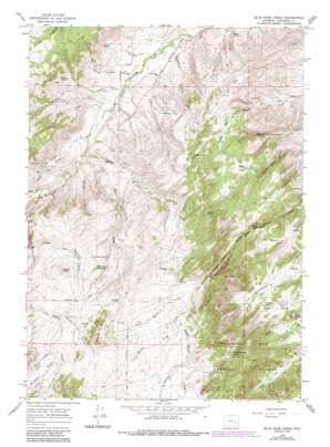Blue Nose Creek USGS topographic map 42105e6
