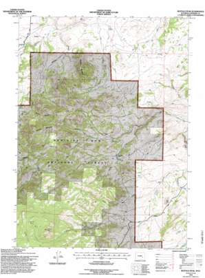 Buffalo Peak USGS topographic map 42105e7