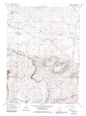 Cameron Creek USGS topographic map 42106b3