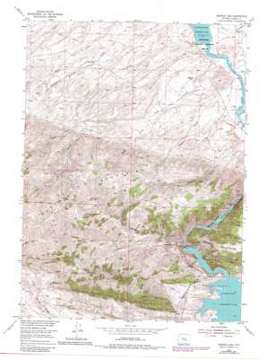 Seminoe Dam USGS topographic map 42106b8