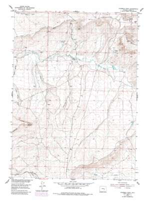 Fourmile Point USGS topographic map 42106c5