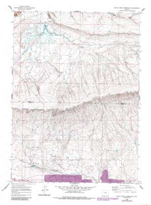 Bates Creek Reservoir USGS topographic map 42106d2