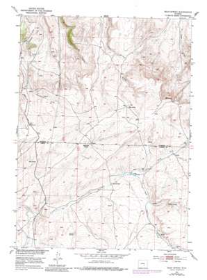 Bear Spring USGS topographic map 42106d6