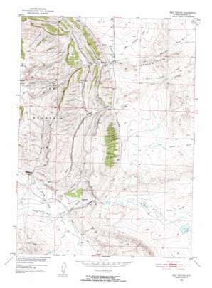 Reid Canyon topo map