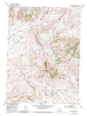 Bradley Peak topo map
