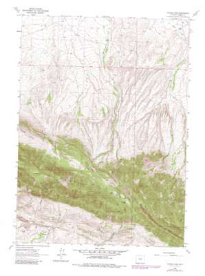 Youngs Pass topo map