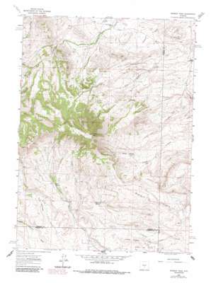 Whiskey Peak USGS topographic map 42107c5