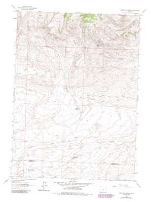 Brenton Springs USGS topographic map 42107c8