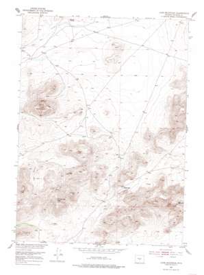 Lone Mountain USGS topographic map 42107e4