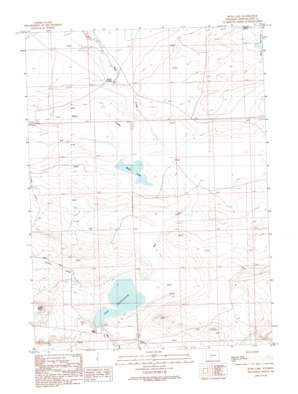 Bush Lake USGS topographic map 42108a3