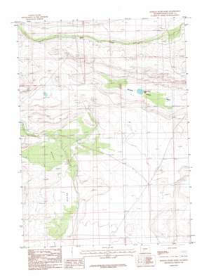 Buffalo Hump Basin topo map