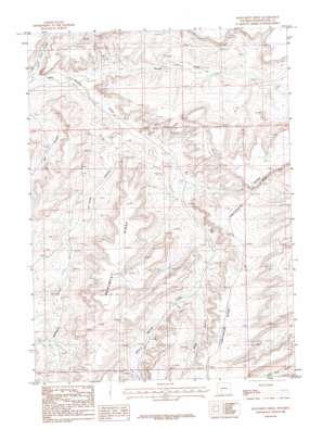 Monument Ridge USGS topographic map 42108a8