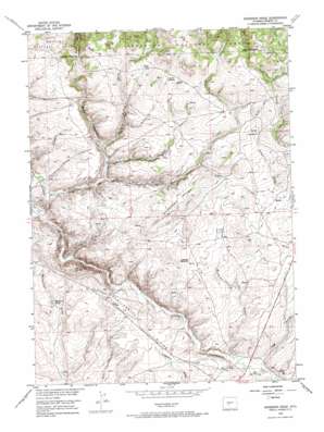 Anderson Ridge USGS topographic map 42108d8
