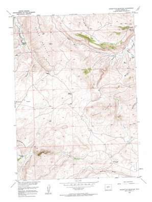 Schoettlin Mountain USGS topographic map 42108e4