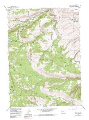 Fossil Hill USGS topographic map 42108f7