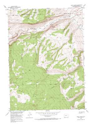 Mount Arter USGS topographic map 42108g8