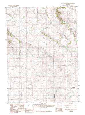 Halls Meadow Spring USGS topographic map 42109d1