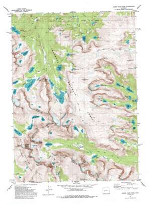 Lizard Head Peak USGS topographic map 42109g2