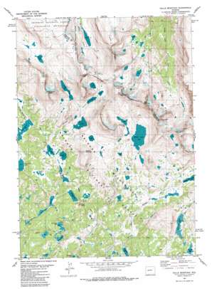 Halls Mountain USGS topographic map 42109h4