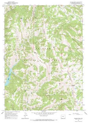 Graham Peak USGS topographic map 42110d6
