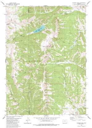 Wyoming Peak USGS topographic map 42110e5