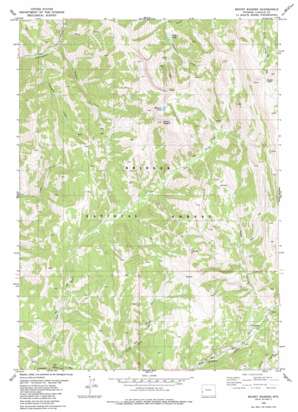 Mount Wagner USGS topographic map 42110e7