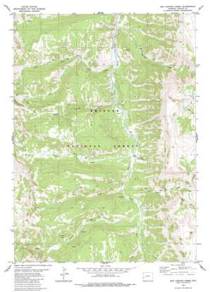 Box Canyon Creek topo map