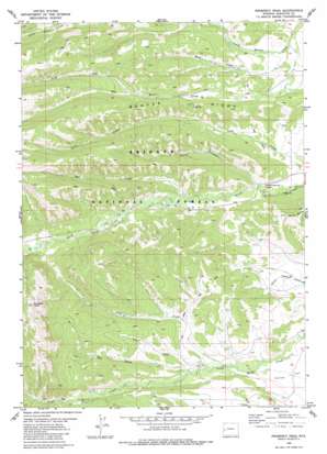 Prospect Peak USGS topographic map 42110h4