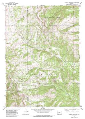 Lookout Mountain USGS topographic map 42110h5