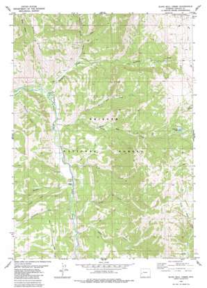 Blind Bull Creek USGS topographic map 42110h6