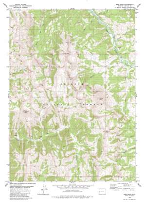 Man Peak USGS topographic map 42110h7