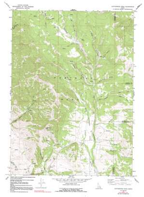 Cottonwood Peak USGS topographic map 42111d8