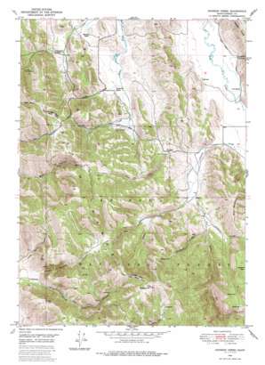 Johnson Creek topo map